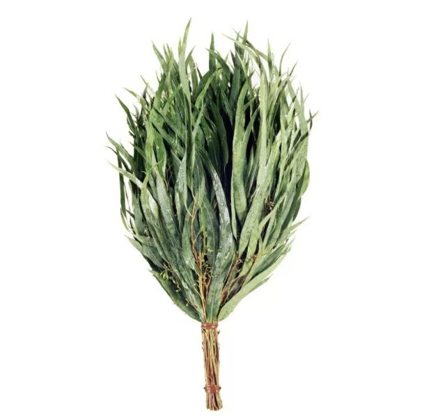 EUCALYPTUS WHISKS