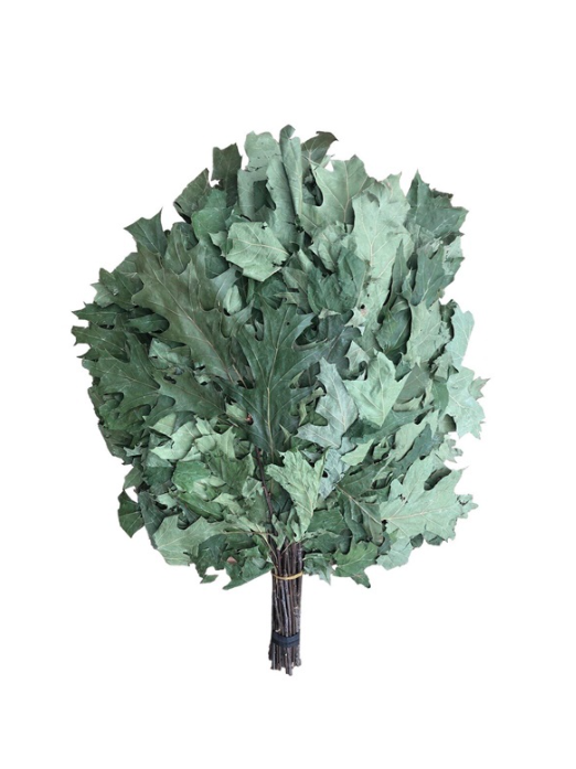 Check out our sauna whisk collections. Free express shipping worldwide. Top Qualtiy sauna whisks from season 2022 . Natural handmade Venik , Vihta for sale.